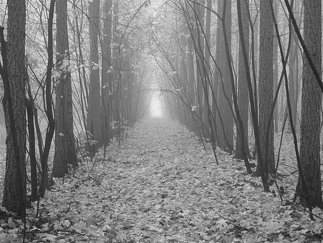 Егор Пуценко фотография #12