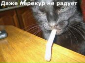 Фотография Сергей Старыгин
