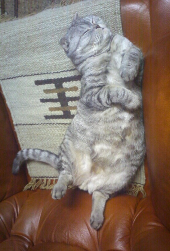 Денис Комяков фотография #22