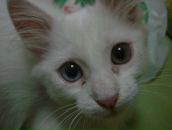 Марина Горобец фотография #46 (источник - https://vk.com/id13128762)