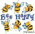 Аня Пінчук фотография #5 (источник - https://vk.com/id78415019)