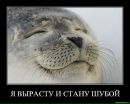 Іруня Бобошко фотография #36 (источник - https://vk.com/id77218760)