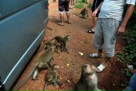 Семён Суходоев фотография #33 (источник - https://vk.com/id26142)