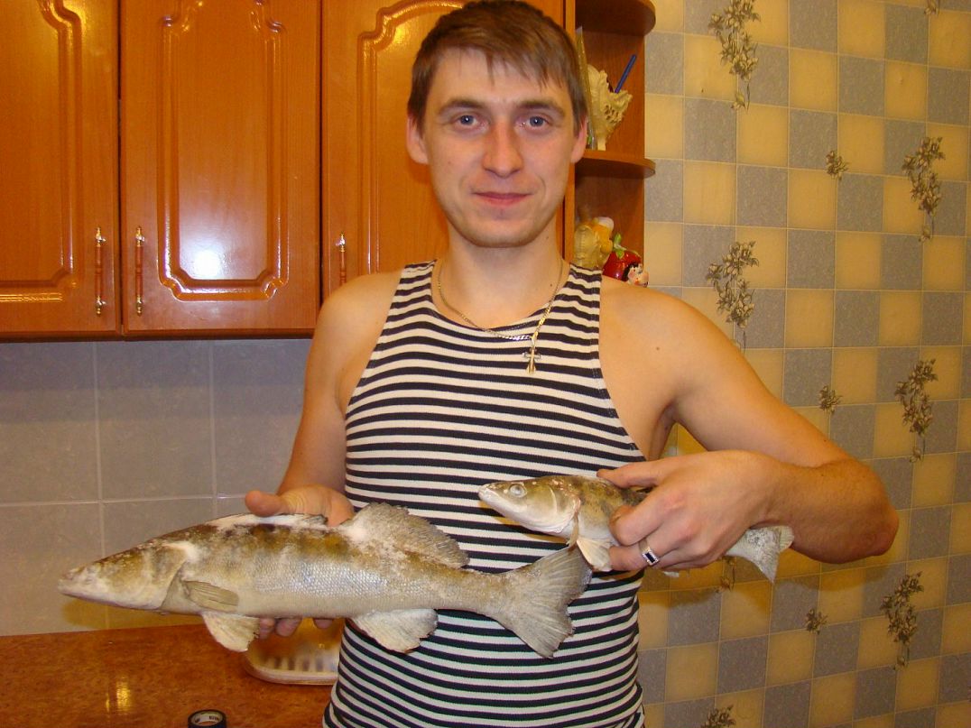 Дмитрий Королёв фотография #32