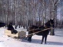 Віктор Богдан фотография #47 (источник - https://vk.com/id145078256)