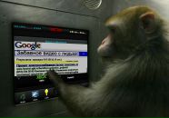 Фотография Прокачука Игоря