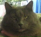 Фотография Письменного Игоря