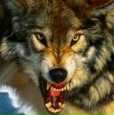 Віталій Туруцький фотография #7 (источник - https://vk.com/id411993782)