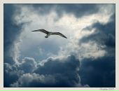 Фотография Ершовой Надежды