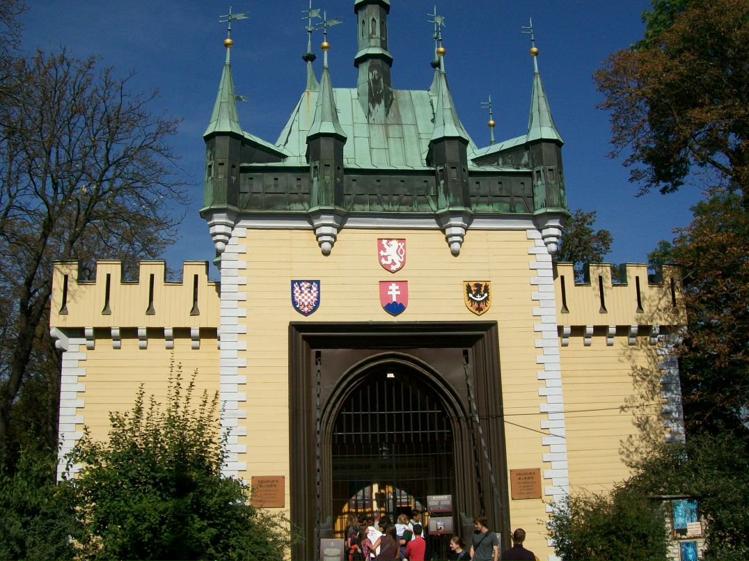 Дмитрий Яковлев фотография #21