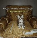 Ірина Демешкіна фотография #6 (источник - https://vk.com/id60720086)