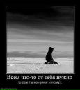 Ігор Курч фотография #29 (источник - https://vk.com/id157637038)