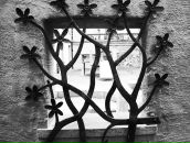 Фотография Нефёдовой Ольги