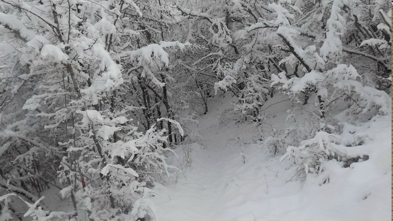 Влад Бугаревский фотография #7