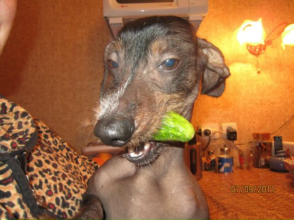 №8, Алексей Рачков №8, Алексей Рачков