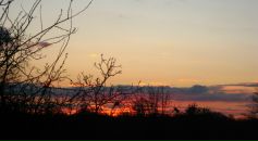 Іра Малигіна фотография #8 (источник - https://vk.com/id63931447)