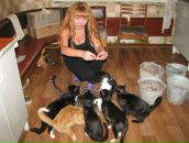 Фотография  