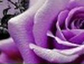 Аня Матвійко фотография #15 (источник - https://vk.com/id132687721)