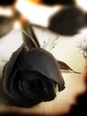 Abraham Suliman фотография #15 (источник - https://vk.com/id163728229)