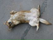 Фотография Епишина Василия