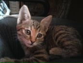 Фотография Льговой Кристины