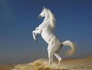 Οлеся Κудрявцева фотография #28 (источник - https://vk.com/id169427654)