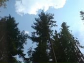 Сергій Слав'янський фотография #23 (источник - https://vk.com/id39792263)