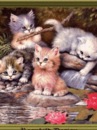 Марійка Мельник(климюк) фотография #27 (источник - https://vk.com/id153238229)