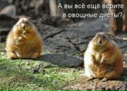 Вікторія Василькова фотография #27 (источник - https://vk.com/id94408216)
