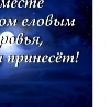 Андрій Новосельський фотография #34 (источник - https://vk.com/id103728066)
