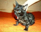 Фотография Сергеевой Галины