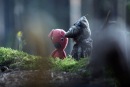 Јелена Пердушевић фотография #50 (источник - https://vk.com/id134877804)