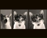 Іра Демчук фотография #12 (источник - https://vk.com/id62424493)
