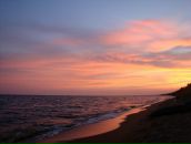 Фотография Паскачева Александра