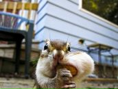 Alexey Dushen фотография #22 (источник - https://vk.com/id670180)