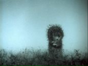 Фотография Гай Альфии