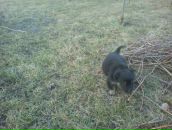 Михайло Пілавка фотография #10 (источник - https://vk.com/id30149017)