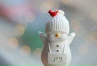 Фотография Павлюткиной Наталии