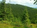 Ігор Бадзилюк фотография #27 (источник - https://vk.com/id154465364)