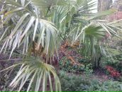 Міша Корчевський фотография #43 (источник - https://vk.com/id161256258)