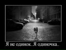 Фотография Алексеева Алексея