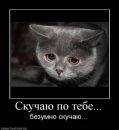 Януха Горохівська фотография #50 (источник - https://vk.com/id57156662)