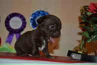 Фотография Виноградовой Елены