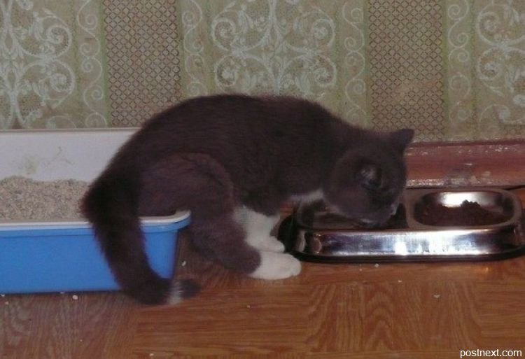 Максим Коваленко фотография #21