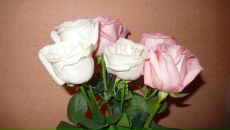 Фотография Галеевой Марины