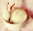 Фотография Зайцевой Екатерины