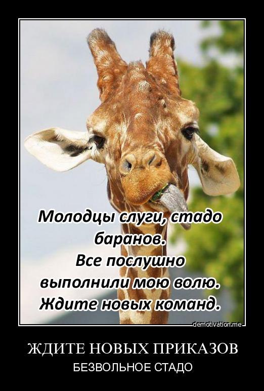 Антон Фин фотография #44