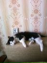 Кадрия Гарипова фотография #1