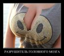 Вітя Ктiтор фотография #13 (источник - https://vk.com/id161575908)