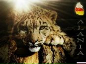 Фотография Ангелопова Сергея